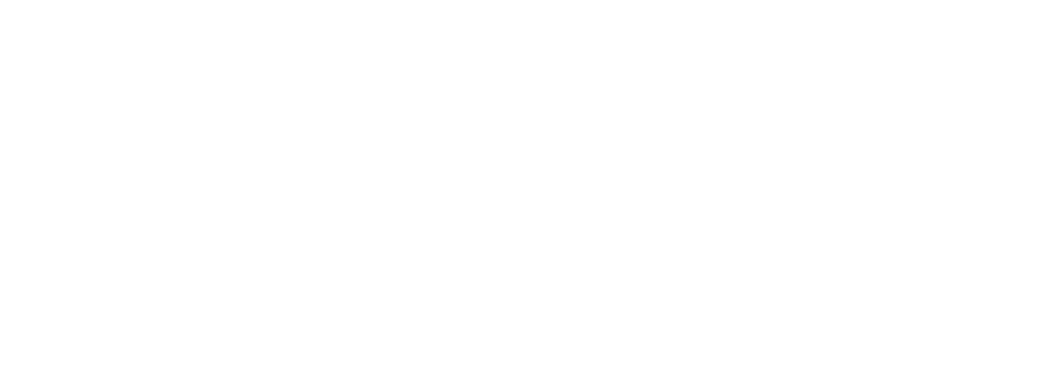 Norwich City Council